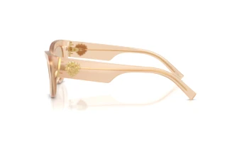 Side view Dolce & Gabbana DG4536 (308993)