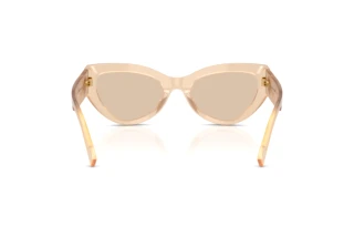 Rear view Dolce & Gabbana DG4536 (308993)