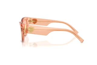 Side view Dolce & Gabbana DG4536 (322684)