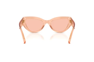 Rear view Dolce & Gabbana DG4536 (322684)
