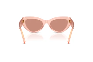 Rear view Dolce & Gabbana DG4536 (338496)