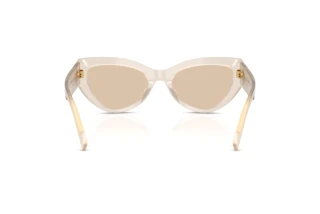 Rear view Dolce & Gabbana DG4536 (342093)