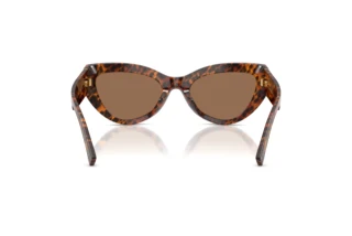 Rear view Dolce & Gabbana DG4536 (347073)