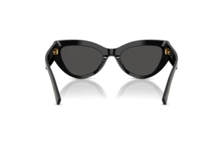 Rear view Dolce & Gabbana DG4536 (501/87)