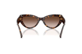 Rear view Dolce & Gabbana DG4536 (502/13)