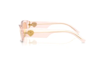 Side view Dolce & Gabbana DG4537 (304173)