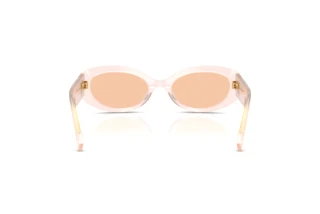 Rear view Dolce & Gabbana DG4537 (304173)