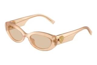 Front view Dolce & Gabbana DG4537 (308993)