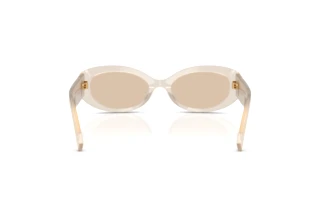 Rear view Dolce & Gabbana DG4537 (342093)