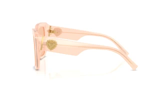 Side view Dolce & Gabbana DG4538 (304173)
