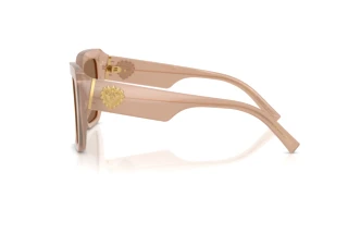 Side view Dolce & Gabbana DG4538 (304273)
