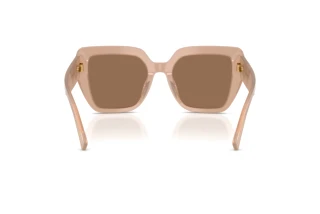 Rear view Dolce & Gabbana DG4538 (304273)