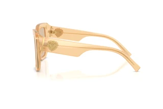Side view Dolce & Gabbana DG4538 (308993)