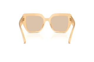 Rear view Dolce & Gabbana DG4538 (308993)