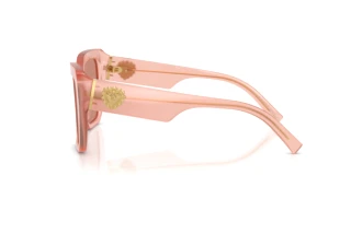 Side view Dolce & Gabbana DG4538 (338496)