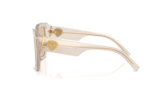 Side view Dolce & Gabbana DG4538 (342093)