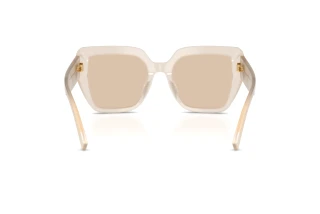 Rear view Dolce & Gabbana DG4538 (342093)