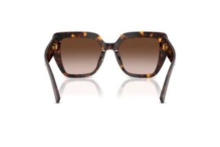 Rear view Dolce & Gabbana DG4538 (502/13)