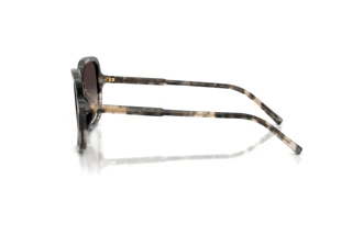 Side view Dolce & Gabbana DG4539 (31728G)