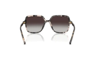 Rear view Dolce & Gabbana DG4539 (31728G)