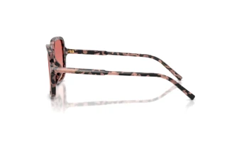 Side view Dolce & Gabbana DG4539 (3476A5)
