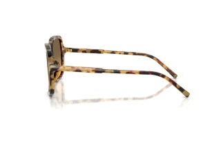 Side view Dolce & Gabbana DG4539 (512/11)