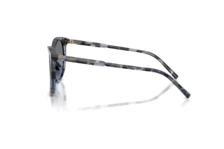 Side view Dolce & Gabbana DG4540 (34438F)