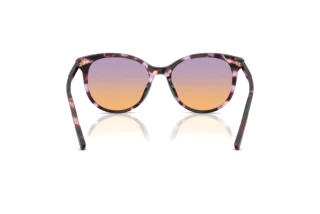 Rear view Dolce & Gabbana DG4540 (3477EL)