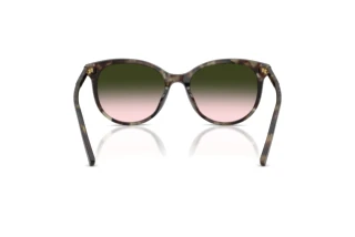 Rear view Dolce & Gabbana DG4540 (34782C)