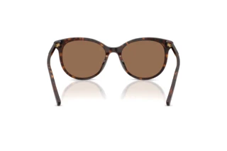 Rear view Dolce & Gabbana DG4540 (502/13)