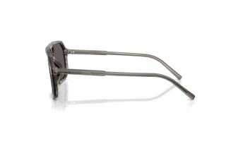 Side view Dolce & Gabbana DG4541 (347987)