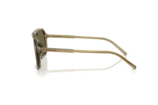Side view Dolce & Gabbana DG4541 (3480/3)
