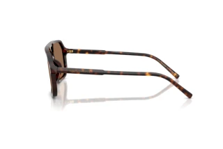 Side view Dolce & Gabbana DG4541 (502/73)