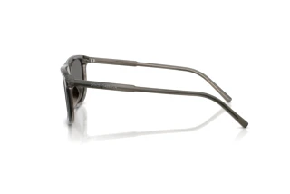 Side view Dolce & Gabbana DG4542 (347981)