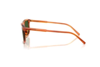 Side view Dolce & Gabbana DG4542 (348371)