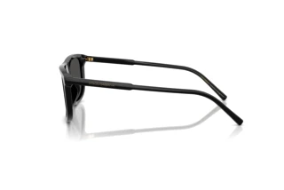 Side view Dolce & Gabbana DG4542 (501/87)