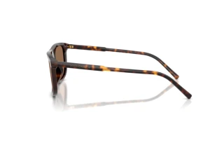Side view Dolce & Gabbana DG4542 (502/73)