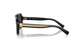 Side view Dolce & Gabbana DG4544 (501/87)
