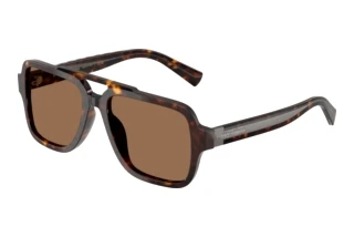Front view Dolce & Gabbana DG4544 (502/73)