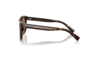 Side view Dolce & Gabbana DG4545 (502/73)