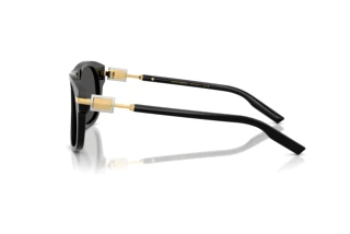 Side view Dolce & Gabbana DG4546 (501/87)