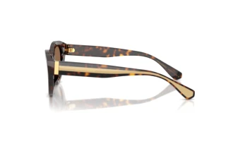 Side view Dolce & Gabbana DG4558 (502/73)