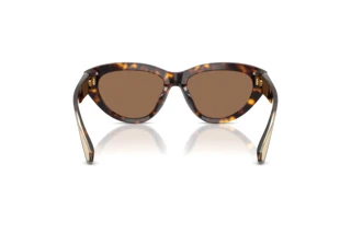 Rear view Dolce & Gabbana DG4558 (502/73)