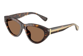 Front view Dolce & Gabbana DG4558 (502/73)