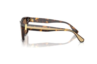 Side view Dolce & Gabbana DG4559 (502/73)