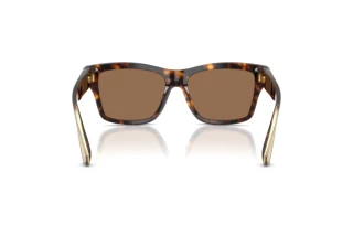 Rear view Dolce & Gabbana DG4559 (502/73)