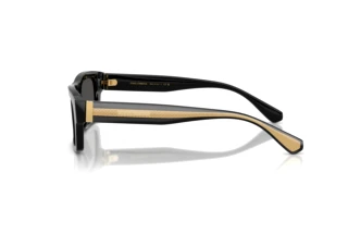 Side view Dolce & Gabbana DG4560 (501/87)