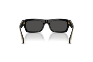 Rear view Dolce & Gabbana DG4560 (501/87)