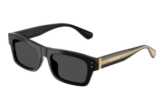 Front view Dolce & Gabbana DG4560 (501/87)