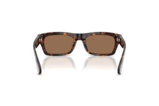 Rear view Dolce & Gabbana DG4560 (502/73)